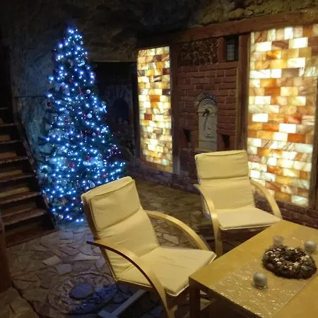 U Vodnika * Mohelnice