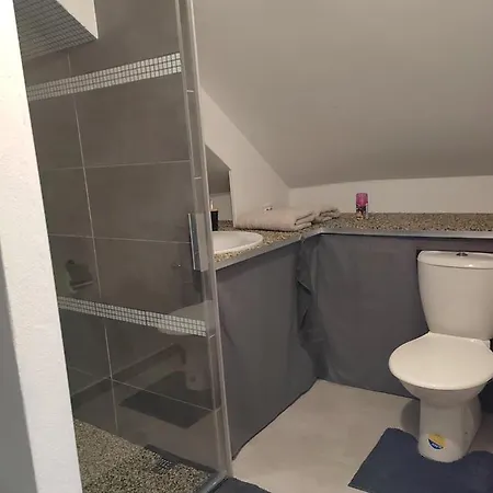 U Vodnika Apartment Mohelnice