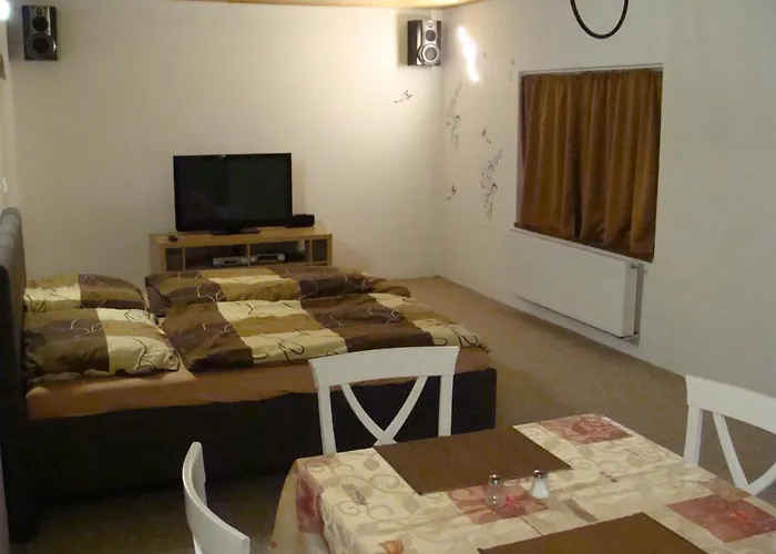 U Vodnika Apartment *